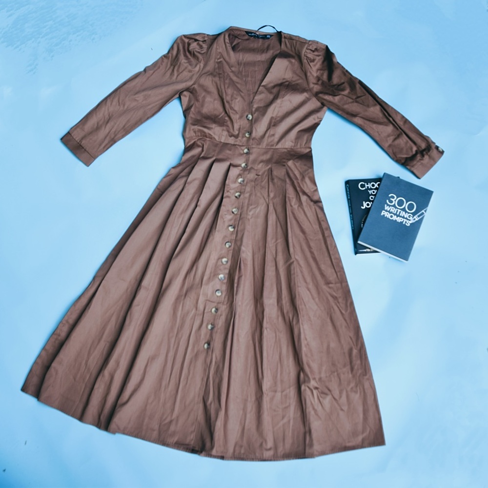 ZARA brown full button dress